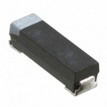 CWR11FK156MB参考图片