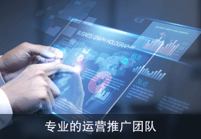 大数据分析及营销服务